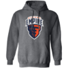 Albany Empire Logo Pullover Hoodie - Image 5