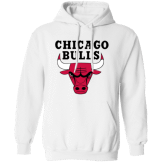 Chicago Bulls Logo Pullover Hoodie